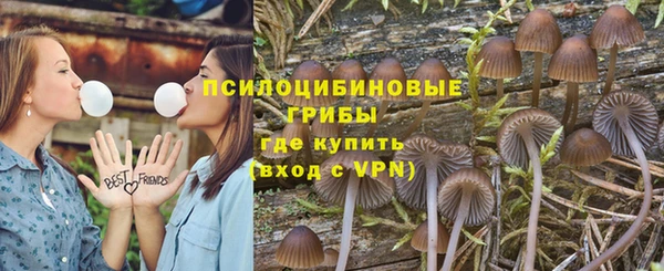 ALPHA PVP Богданович