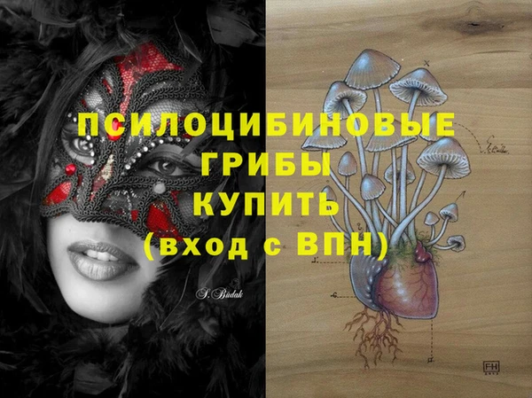 ALPHA PVP Богданович
